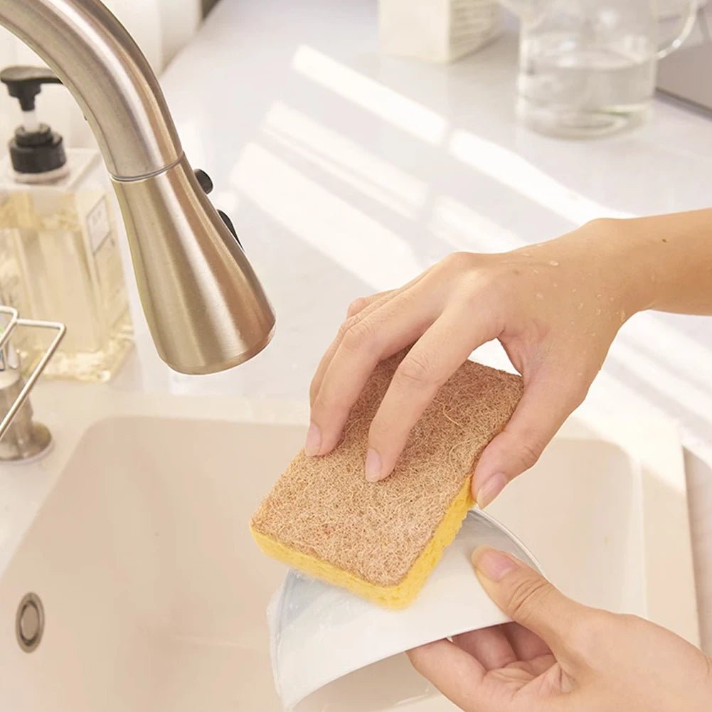 Biodegradable Sponges - Eco - friendly | Cozyield