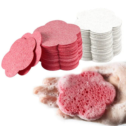 Face Cleaning Sponge Pad - Eco - friendly | Cozyield
