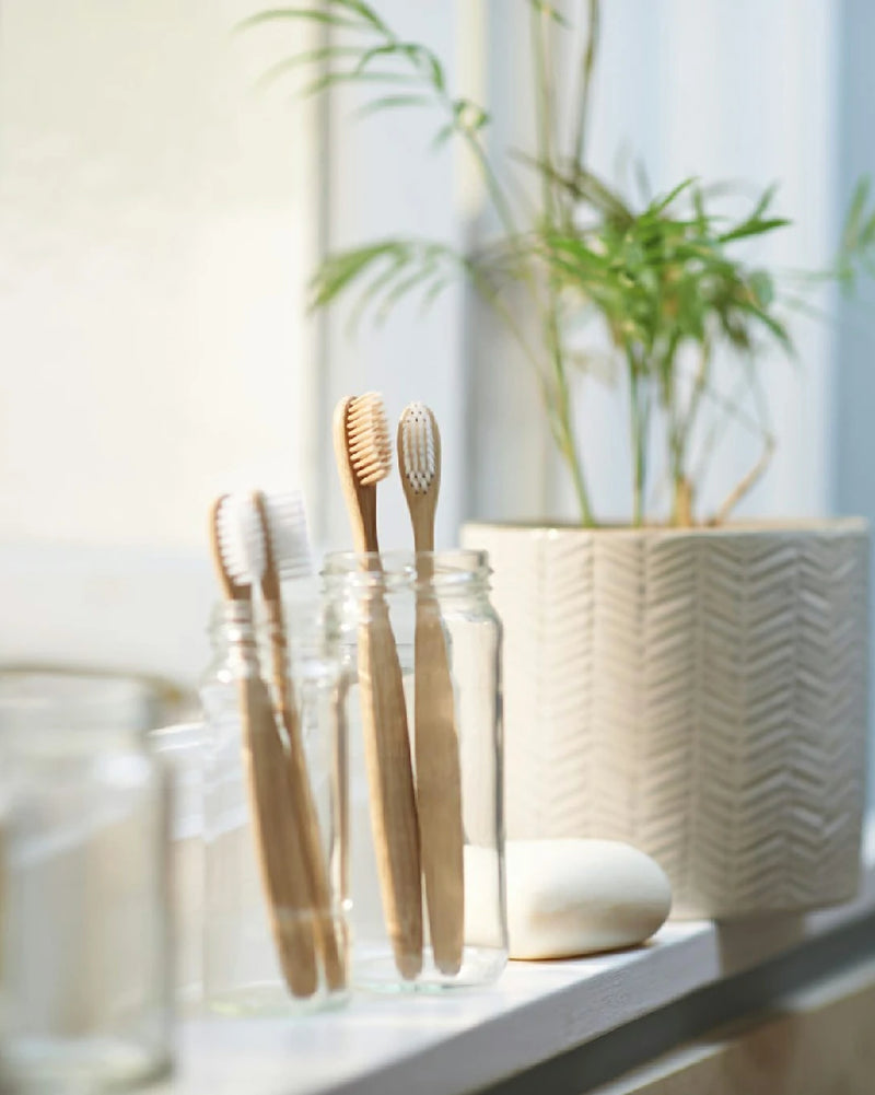 Two wooden toothbrushes in a glass jar with a plant in the background