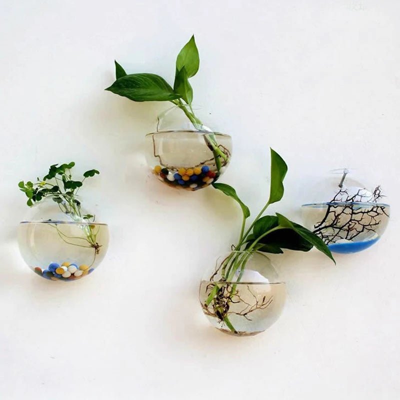 Semi - Circular Glass Wall Hanging Vase - Eco - friendly | Cozyield