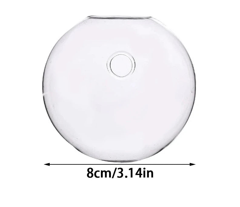 Semi - Circular Glass Wall Hanging Vase - Eco - friendly | Cozyield