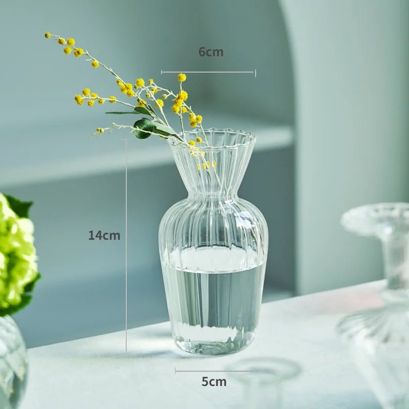 Transparent Vase - Eco - friendly | Cozyield
