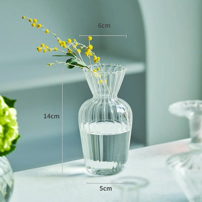 Transparent Vase - Eco - friendly | Cozyield