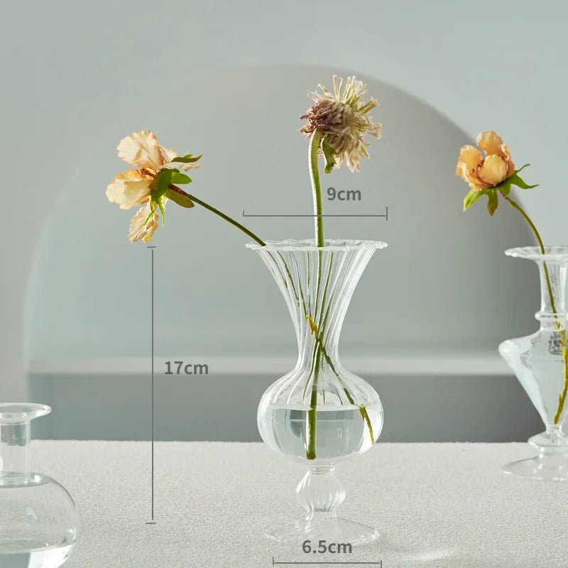 Transparent Vase - Eco - friendly | Cozyield