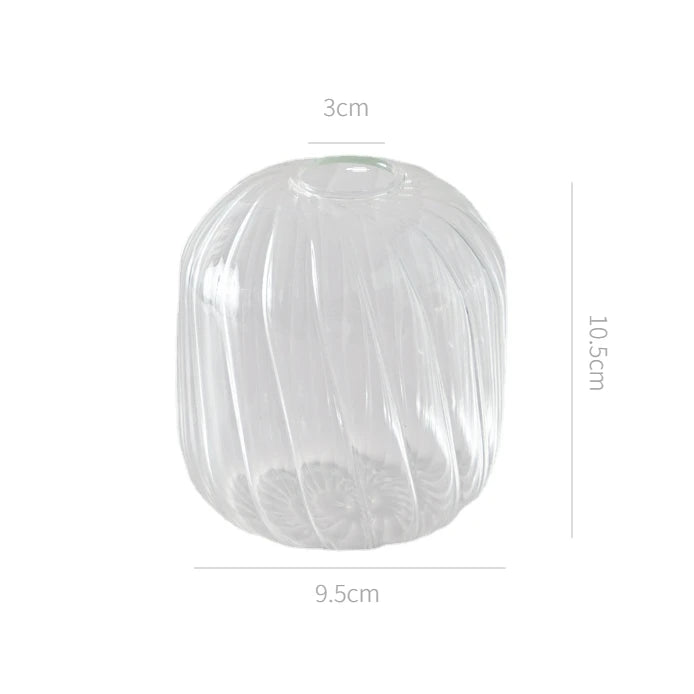 Transparent Vase - Eco - friendly | Cozyield