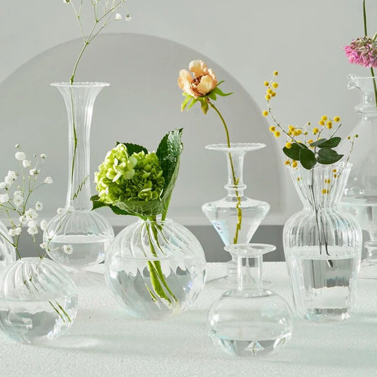 Transparent Vase - Eco - friendly | Cozyield