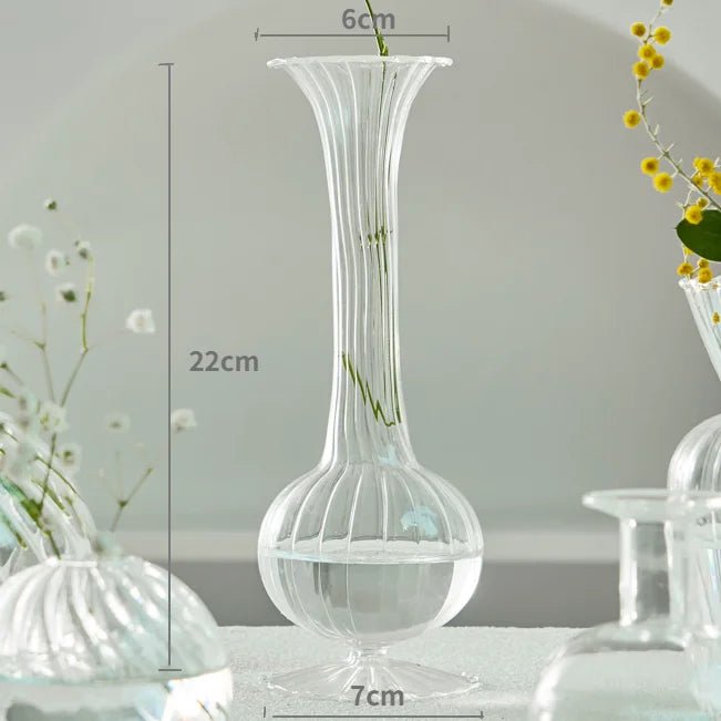 Transparent Vase - Eco - friendly | Cozyield
