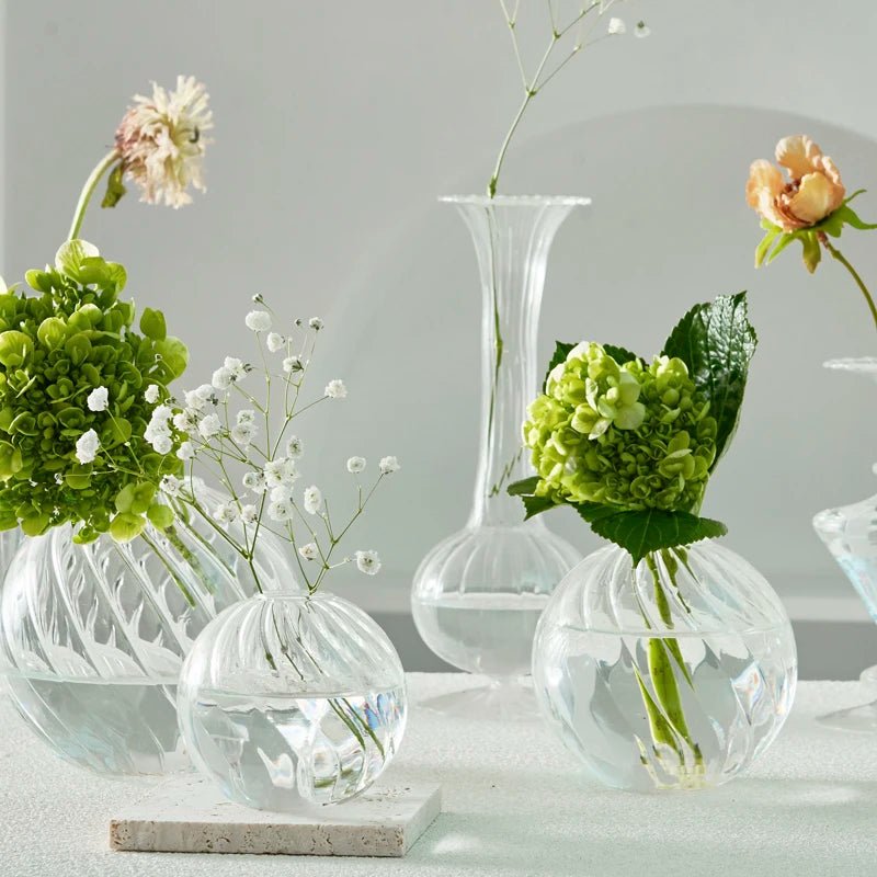 Transparent Vase - Eco - friendly | Cozyield