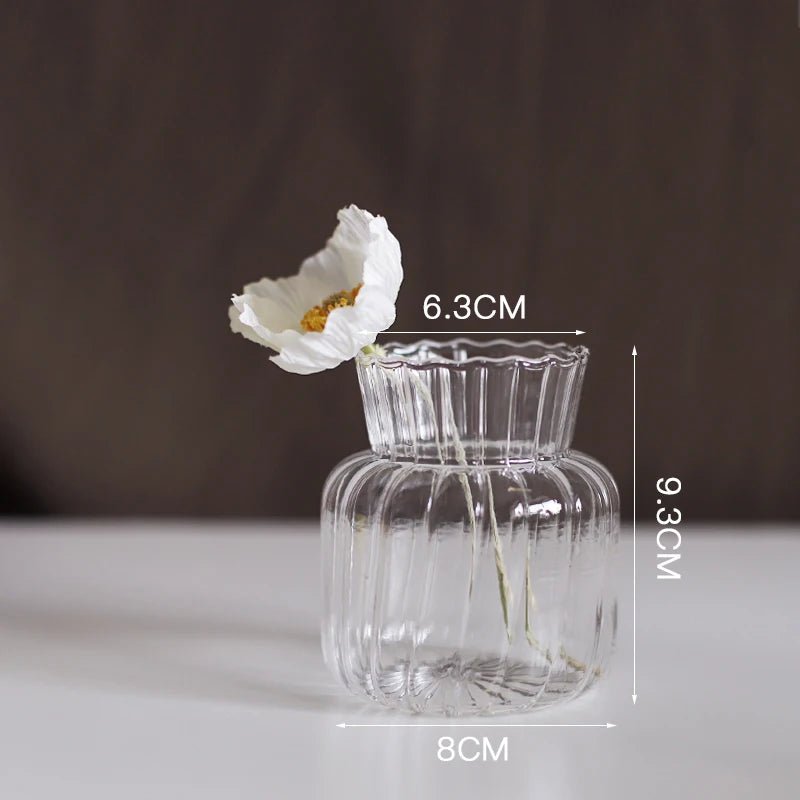 Transparent Vase - Eco - friendly | Cozyield