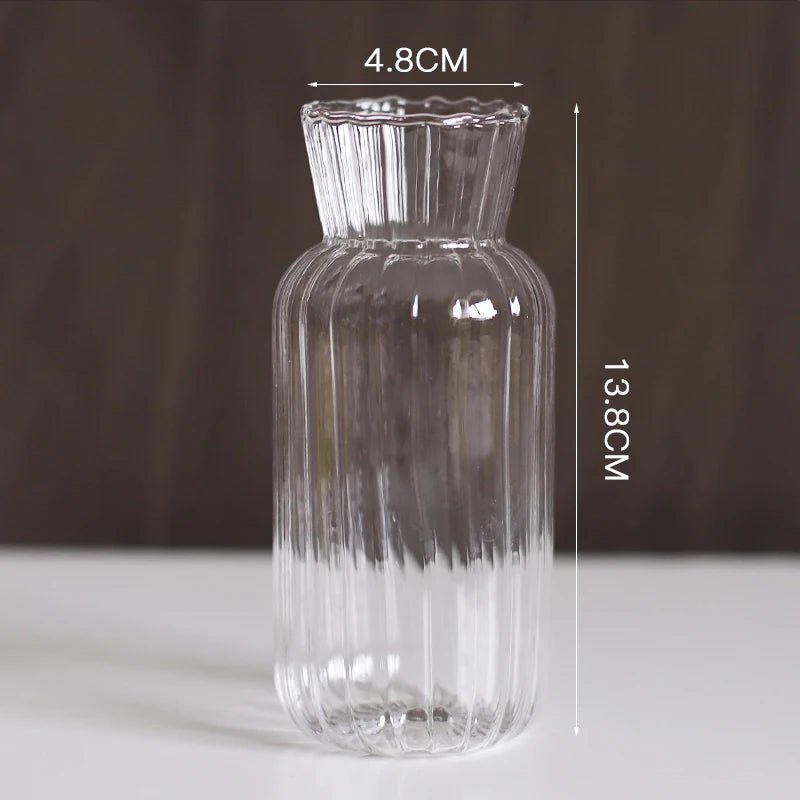 Transparent Vase - Eco - friendly | Cozyield