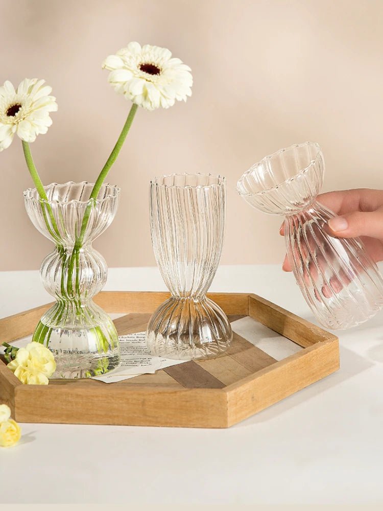 Transparent Vase - Eco - friendly | Cozyield
