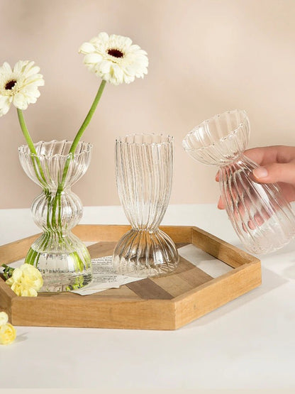 Transparent Vase - Eco - friendly | Cozyield